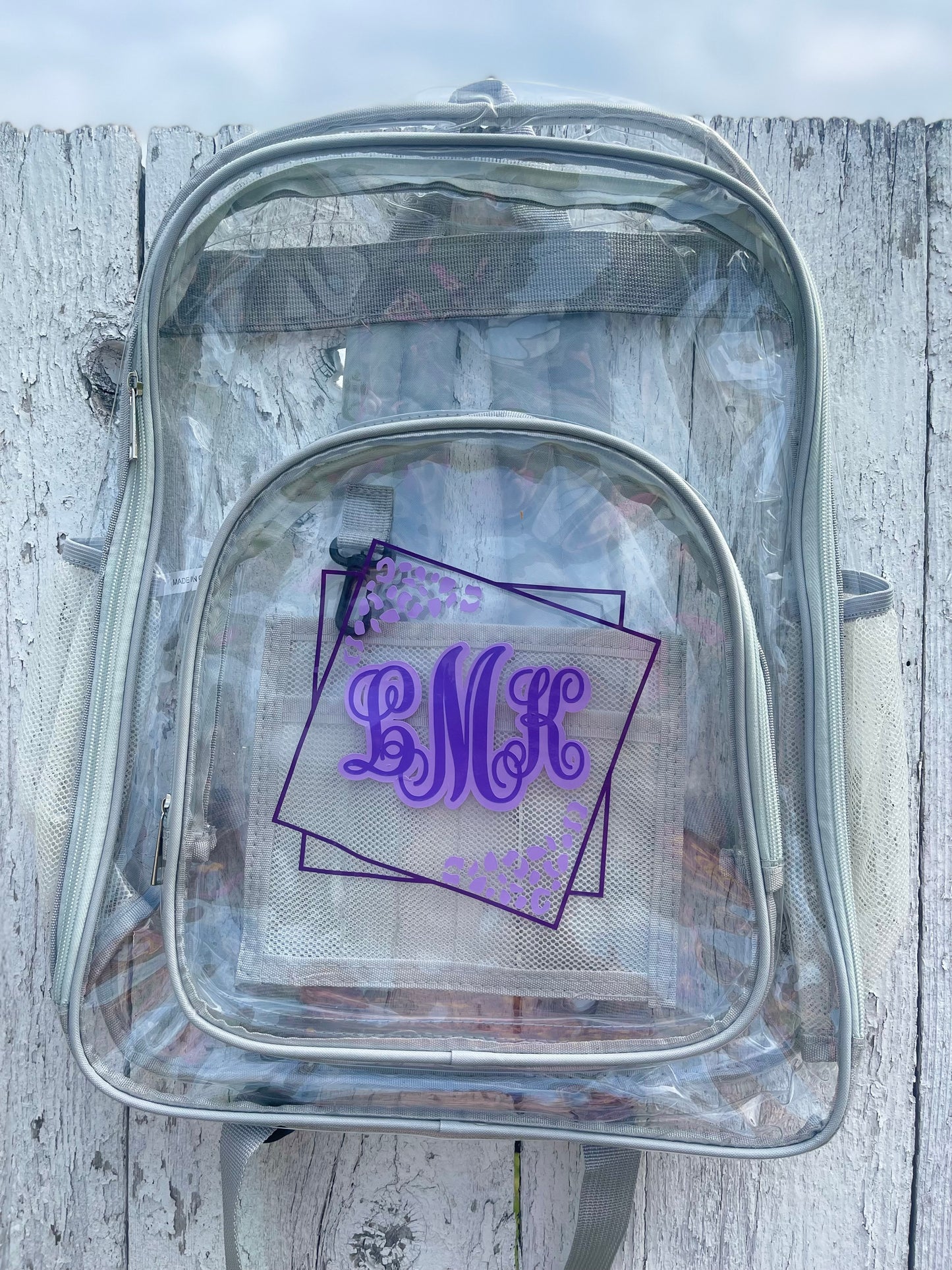 Clear Backpack