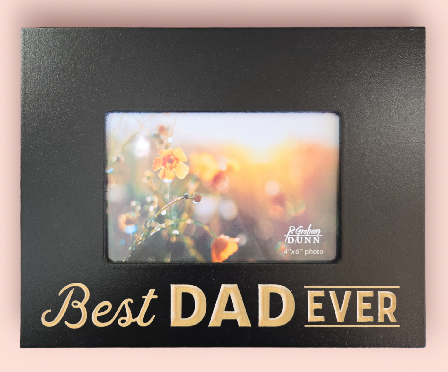 Best Dad Ever Frame