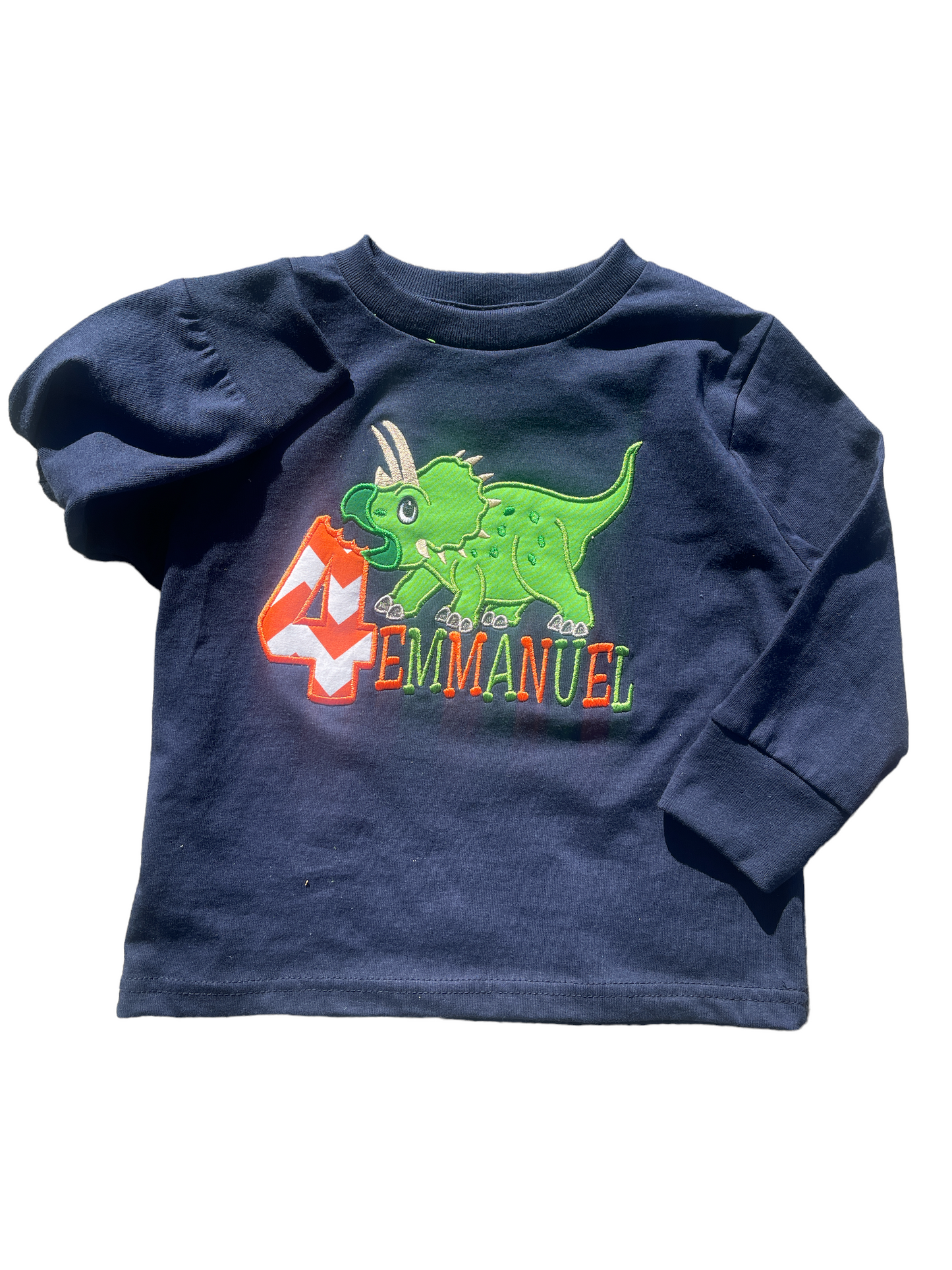 Dino Inspired Birthday Tee